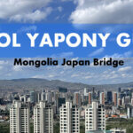 MONGOL YAPONY GUUR LLC