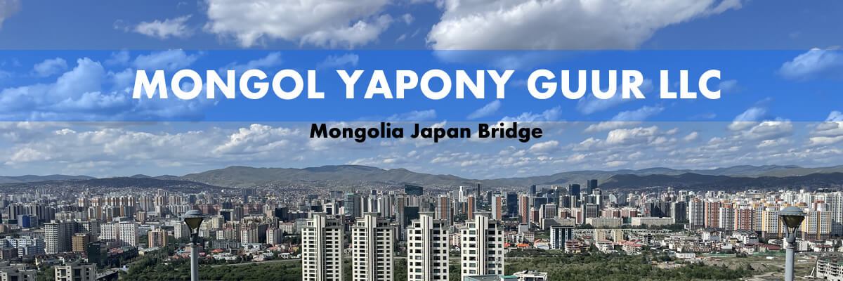 MONGOL YAPONY GUUR LLC